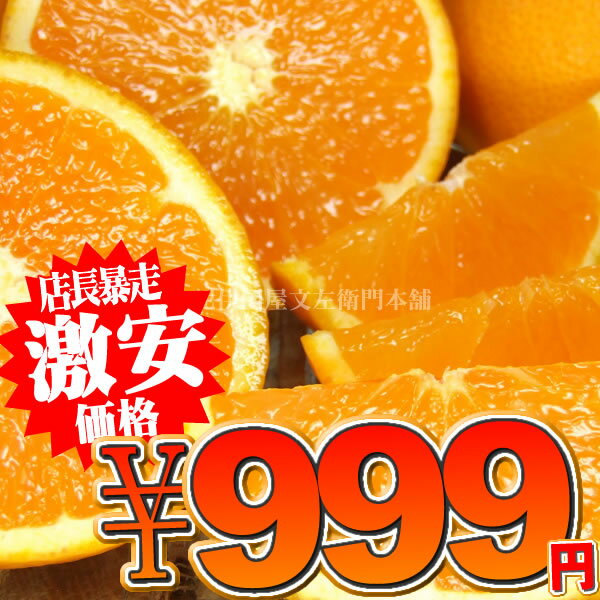 【999円均一】春柑橘『ネーブルオレンジ』わけあり果実ご家庭...